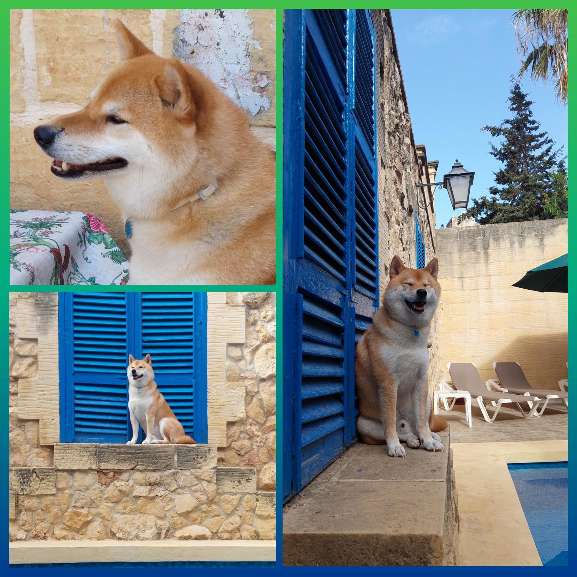 Xagħra Mj Farmhouse B&B المظهر الخارجي الصورة